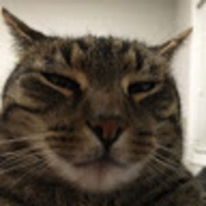 Meet your Posher, Jyoti